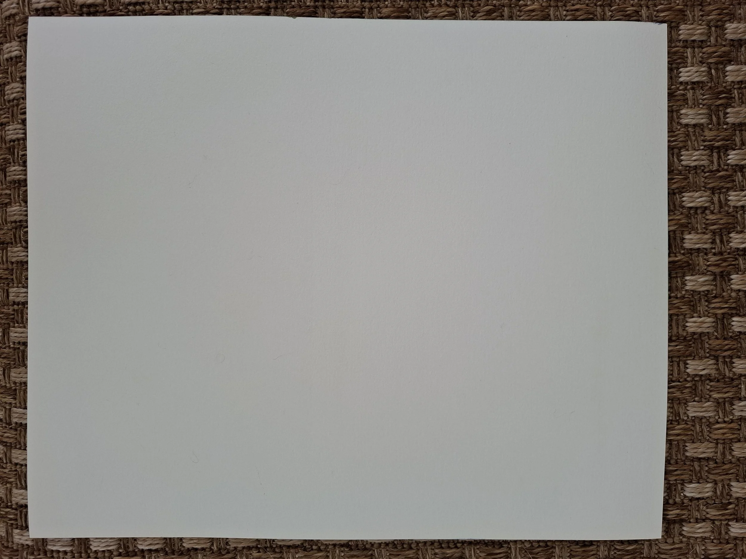 20260428_142815.jpg