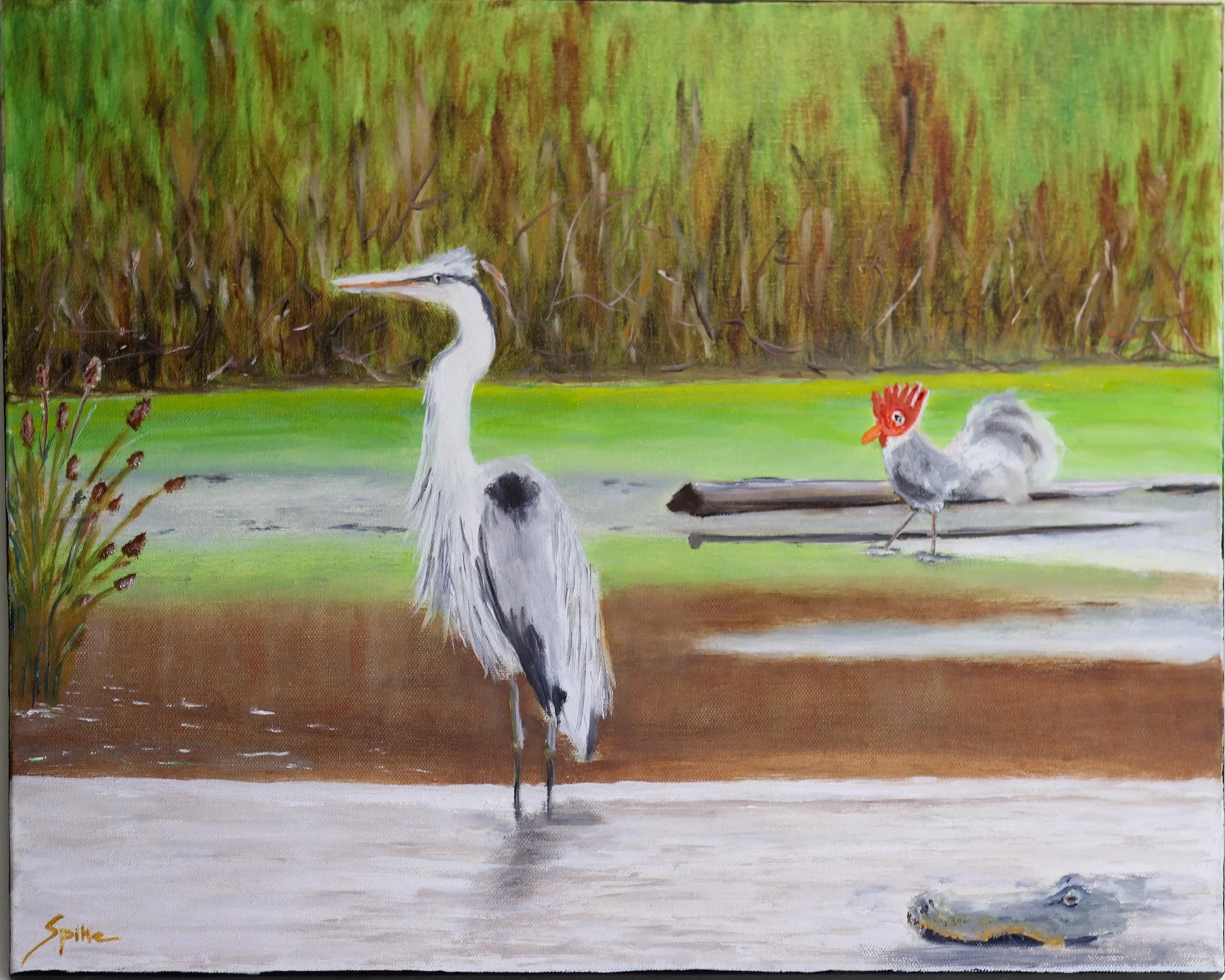 Spike Frederick - Multimedia Artist