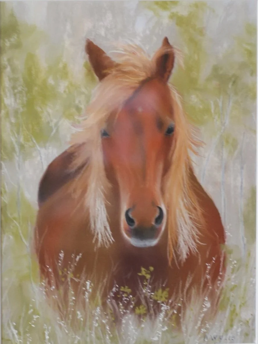 Nancy Wylie - Pastelist and Wire Artist