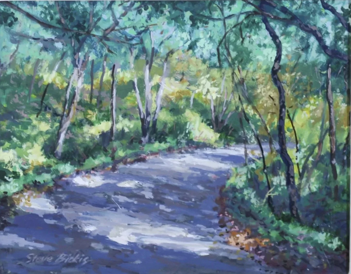 Steve Bickis - Multimedia Artist