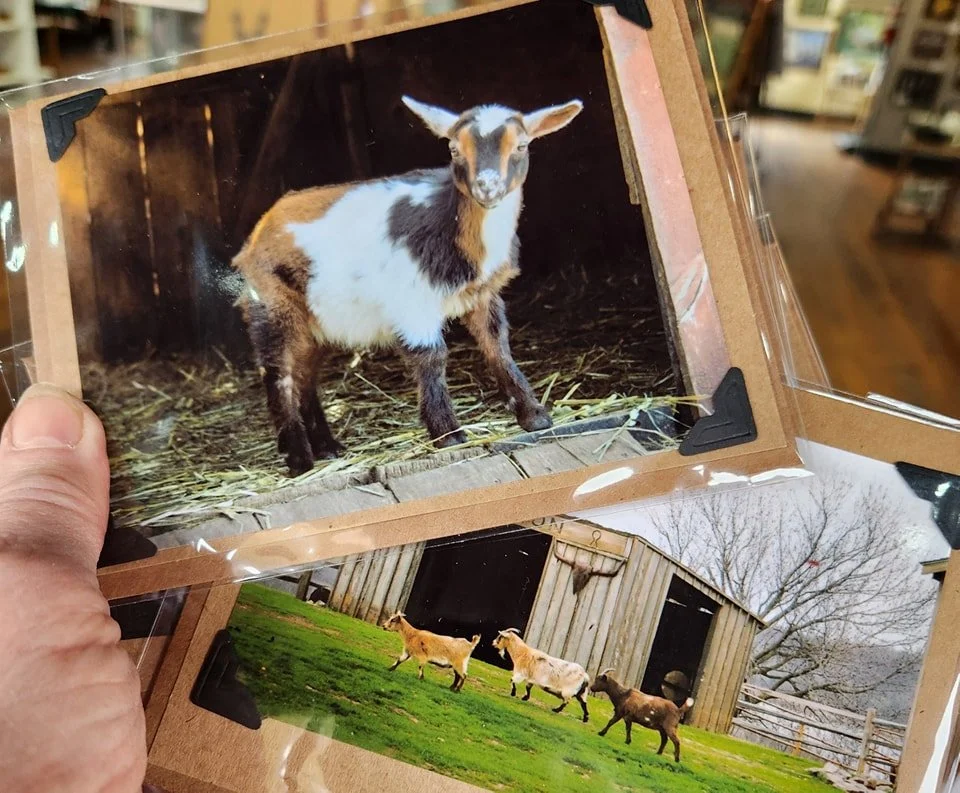 Photo by Nancy Dornbusch. See this and more at the Community Art Center of Switzerland County in Vevay, Indiana.