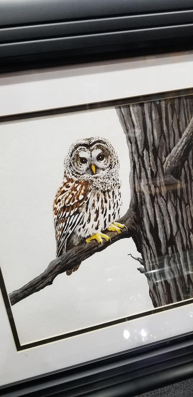 Illustration of a brown and white owl perched on a tree branch.