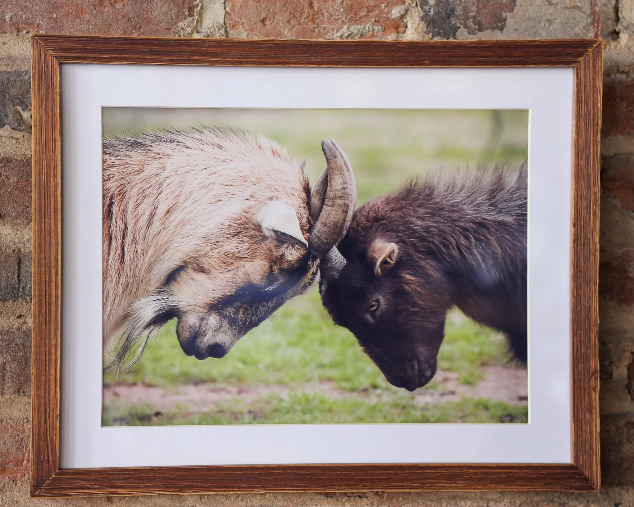 Photo by Nancy Dornbusch. See this and more at the Community Art Center of Switzerland County in Vevay, Indiana.