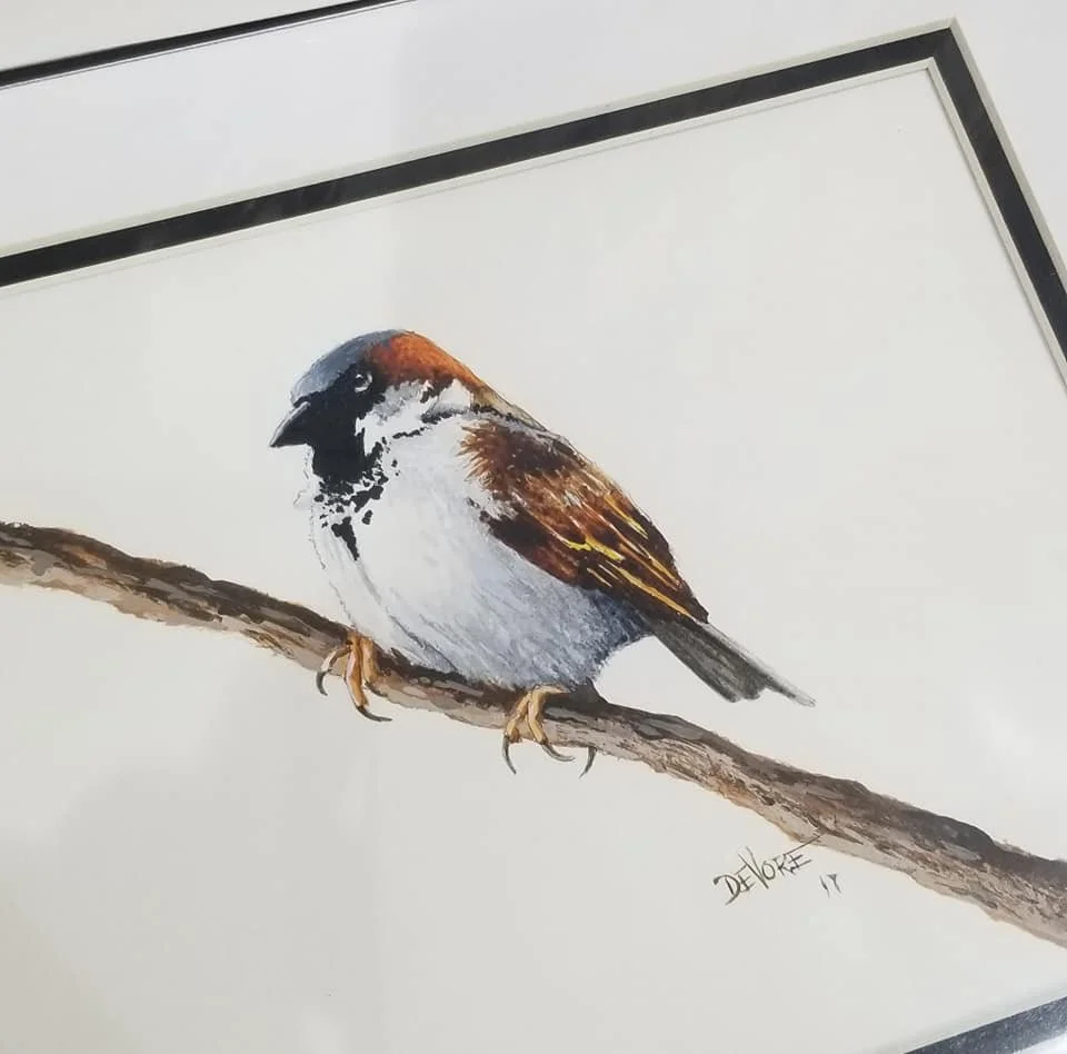 Painting of a small bird with brown, white, and black plumage perched on a branch.