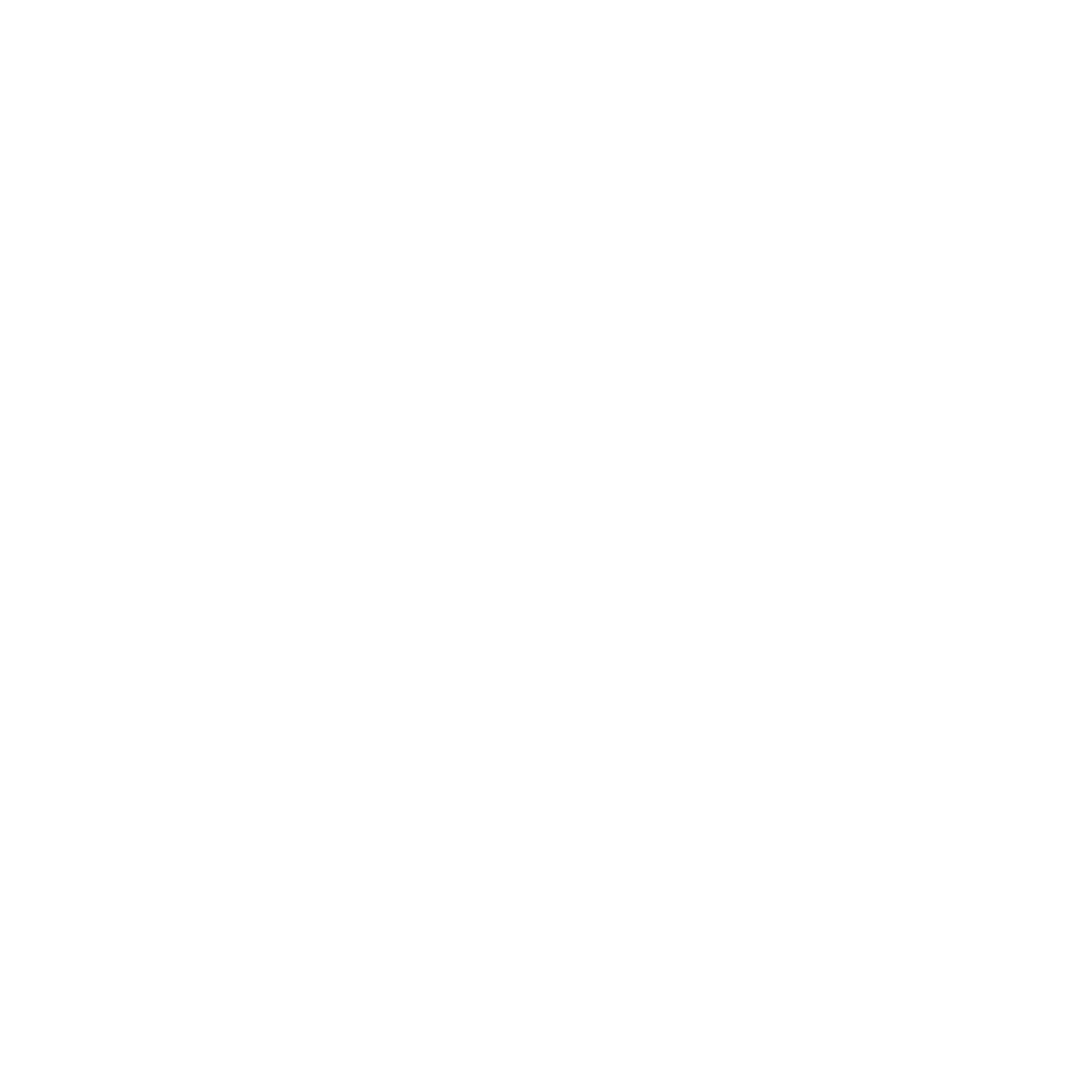 Smartwool website.png