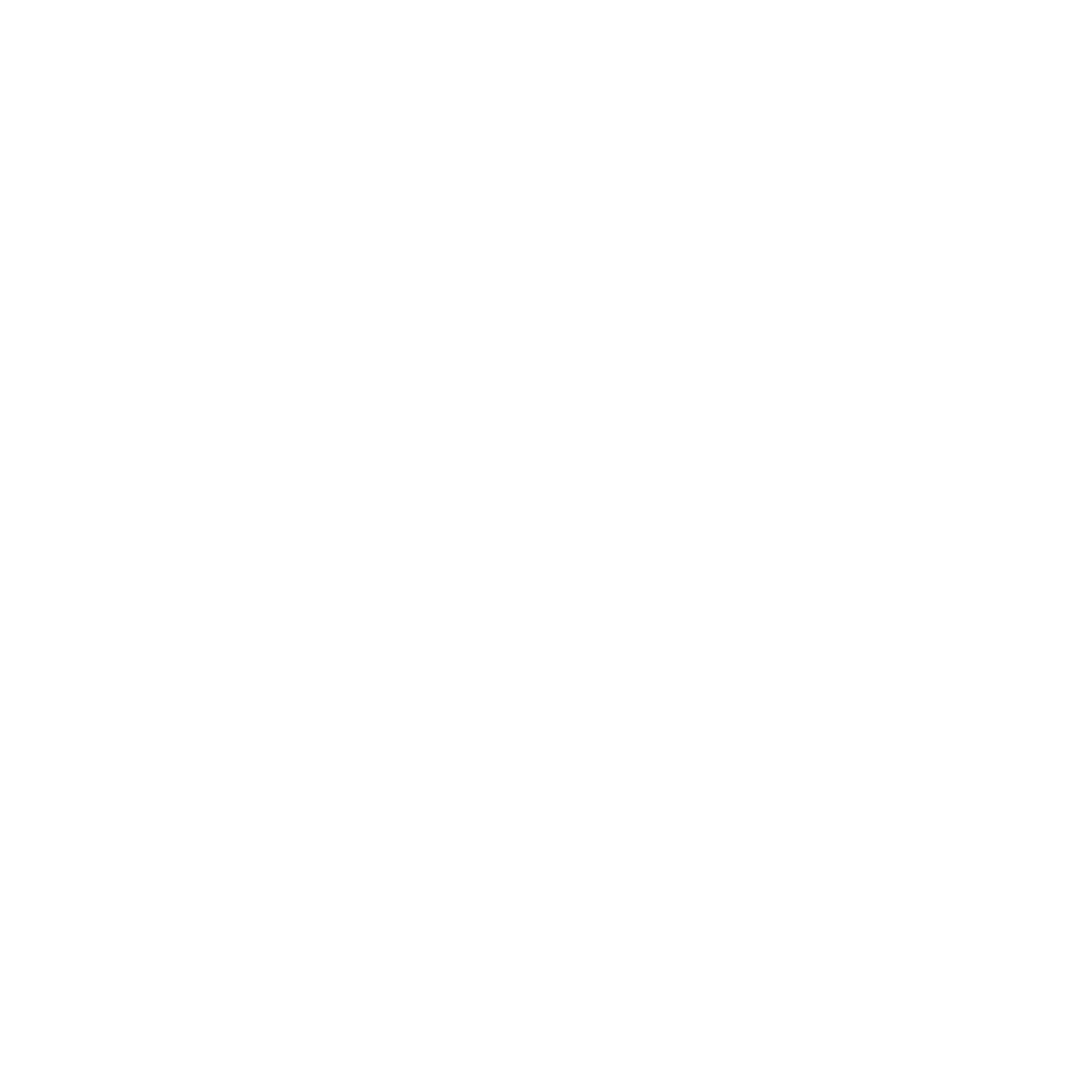 Patagonia_White.png
