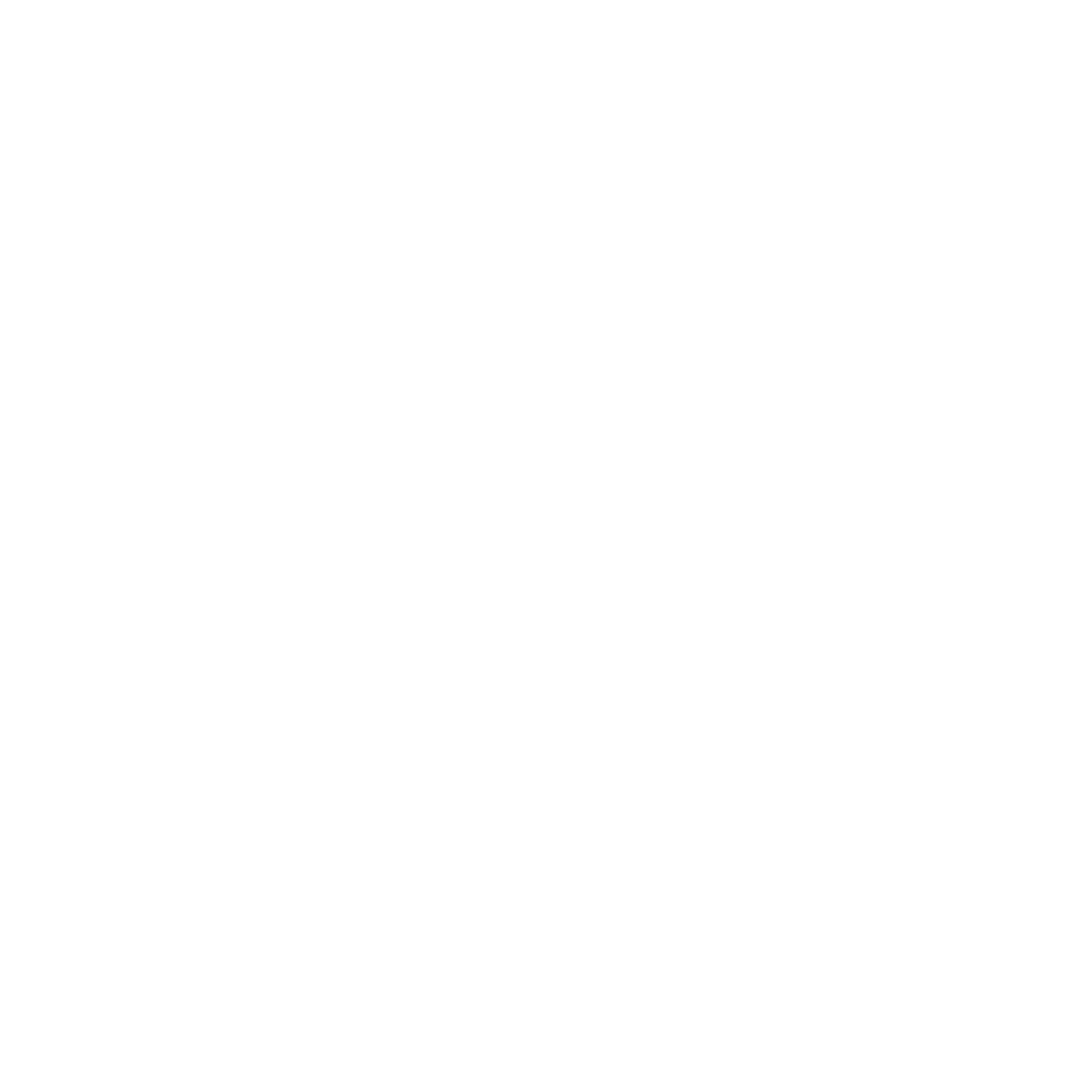 Best Day brewing_White.png