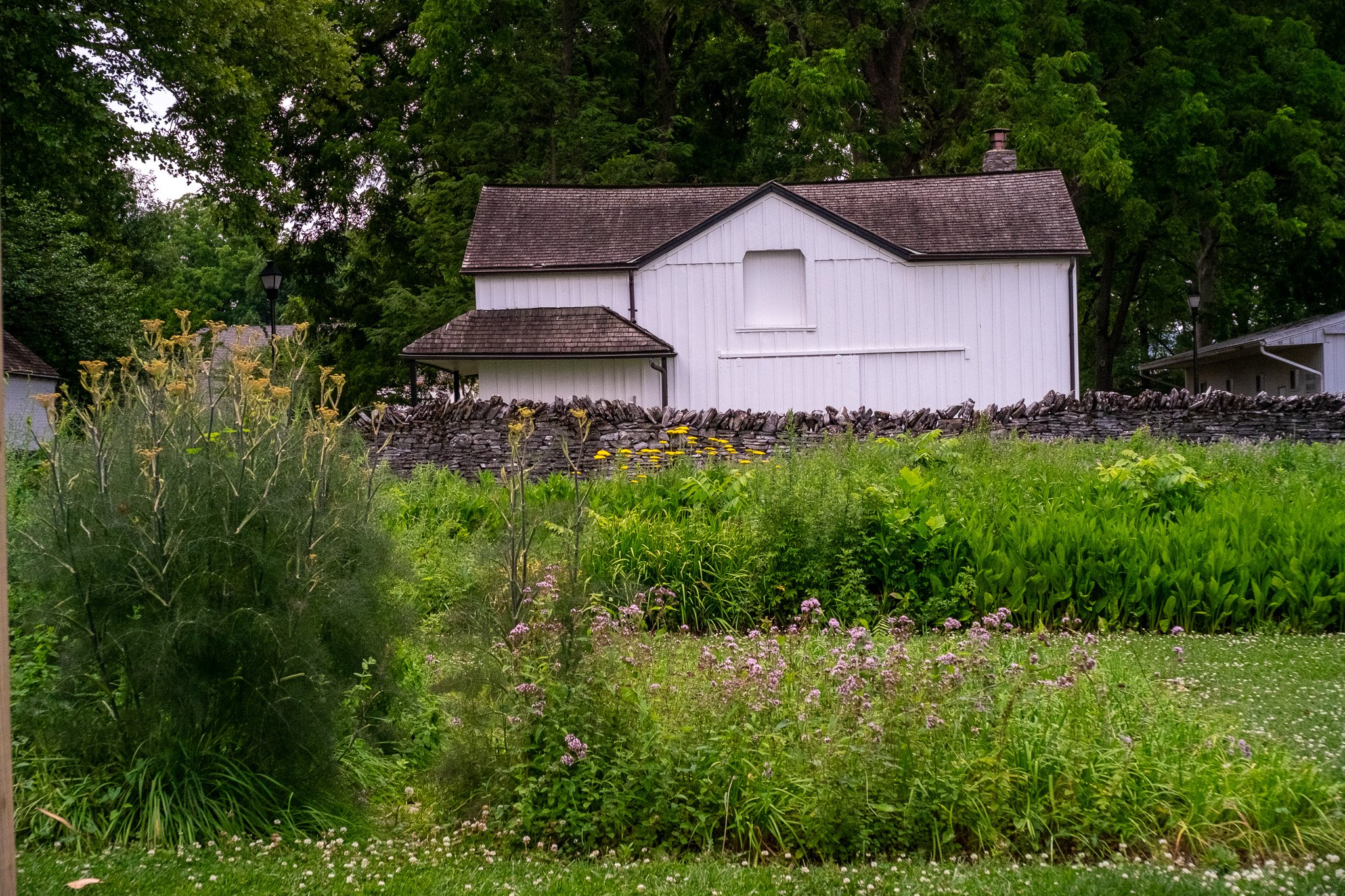 A white house with a pitched roof and a chimney, surrounded by a garden with various green plants, yellow flowers, and a stone wall, with tall trees in the background.