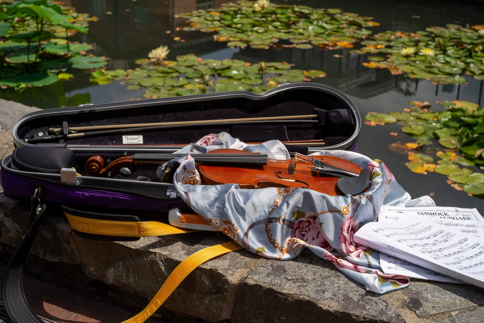 Open violin case with a violin, bow, sheet music, and a scarf, beside a pond with lily pads and yellow flowers.