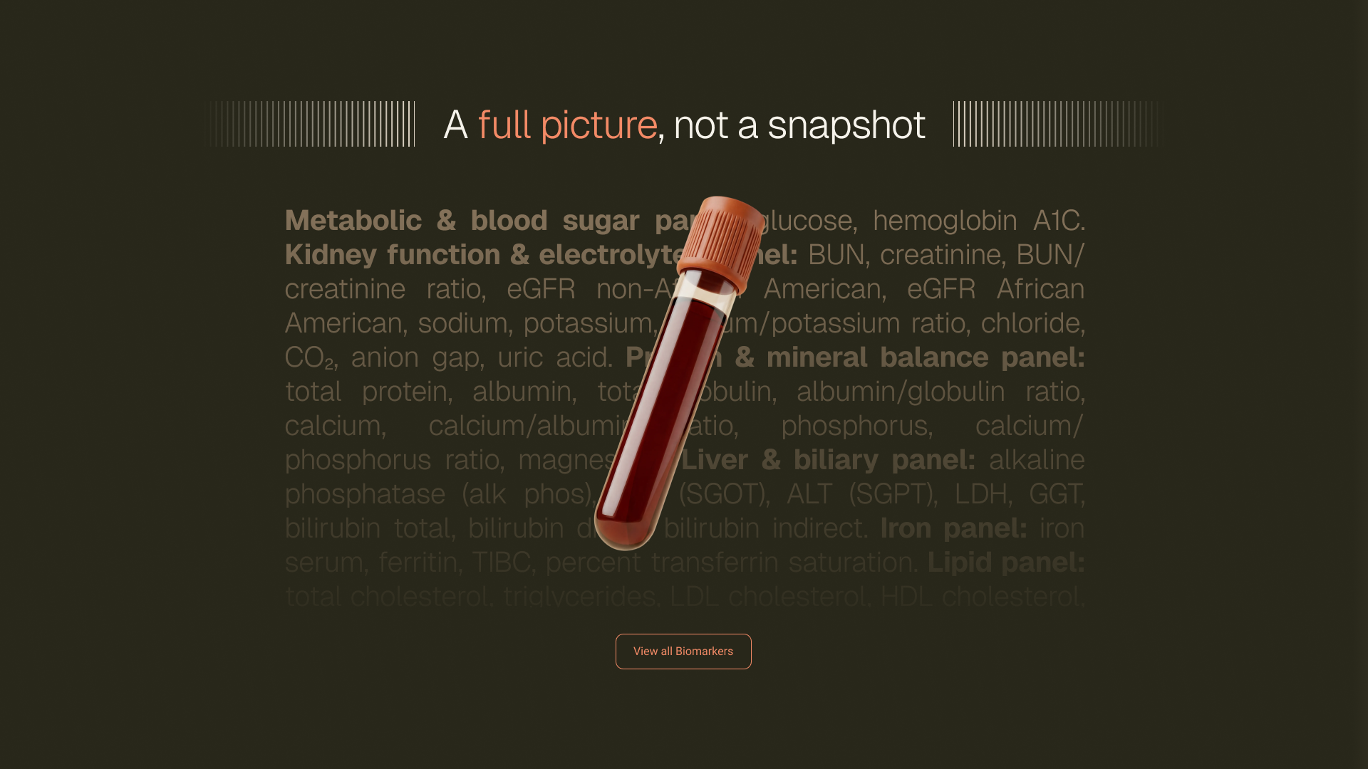 Frame 1000002917.png