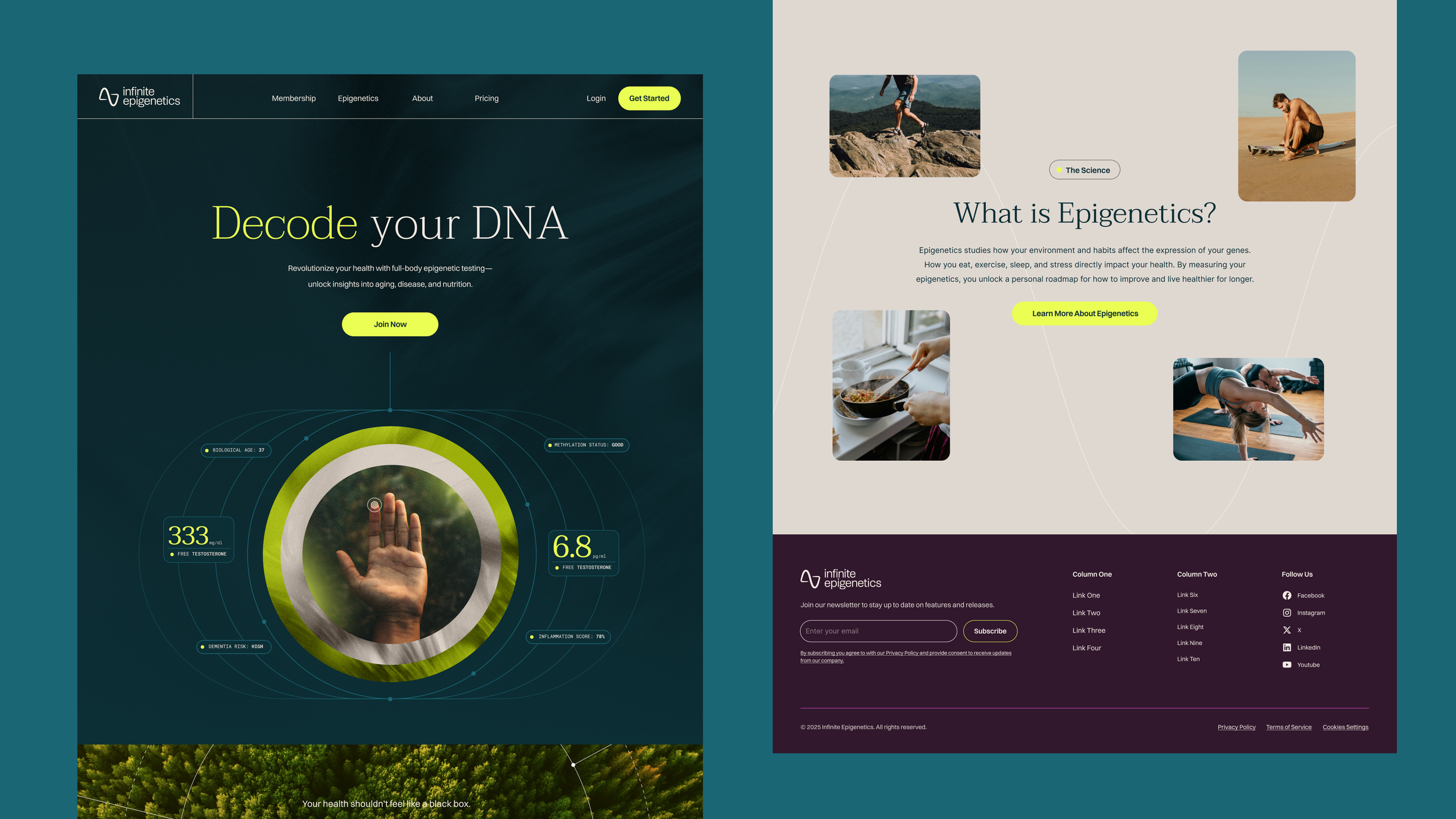 Frame 1000002849.png