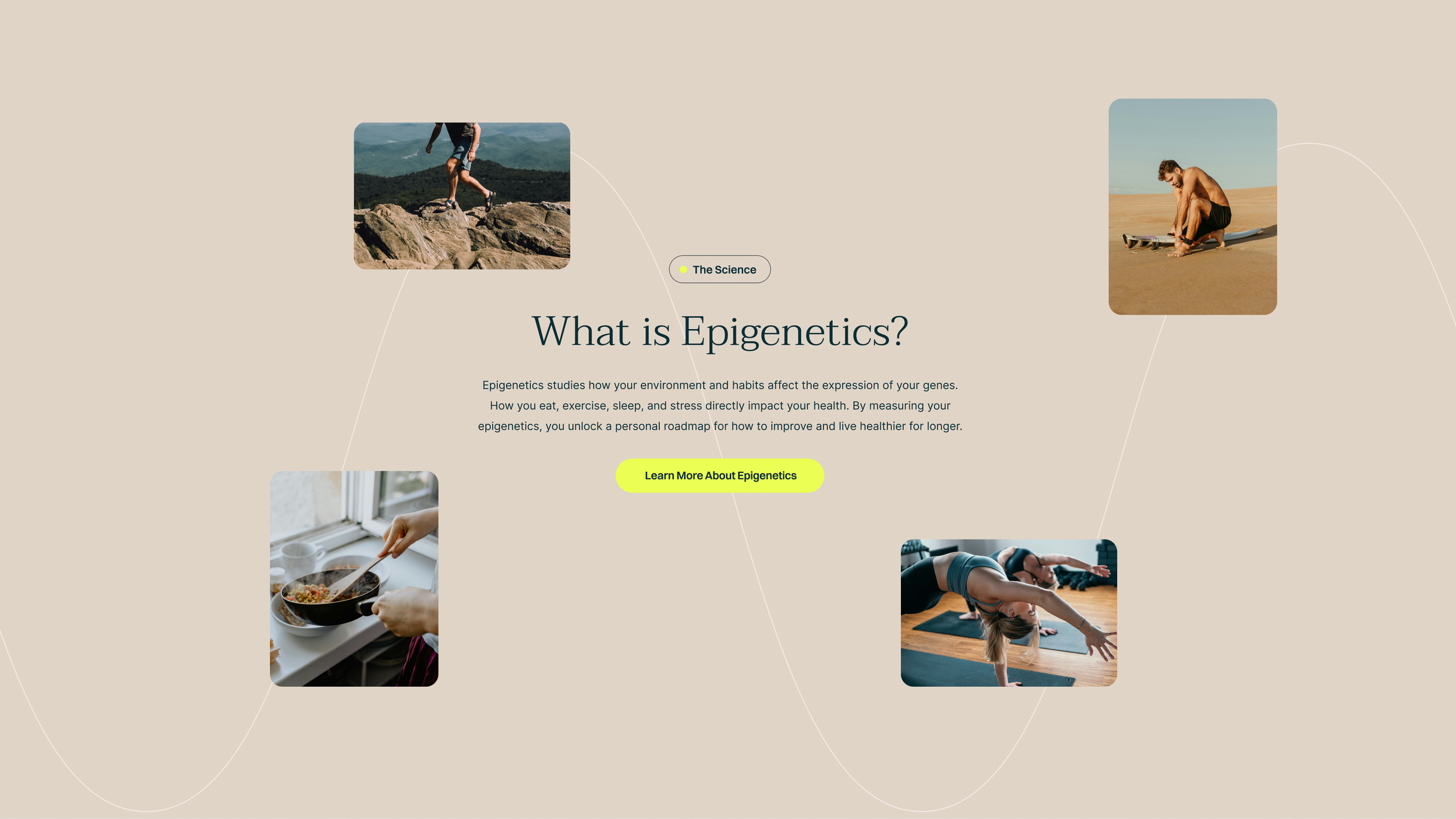 Frame 1000002887.png