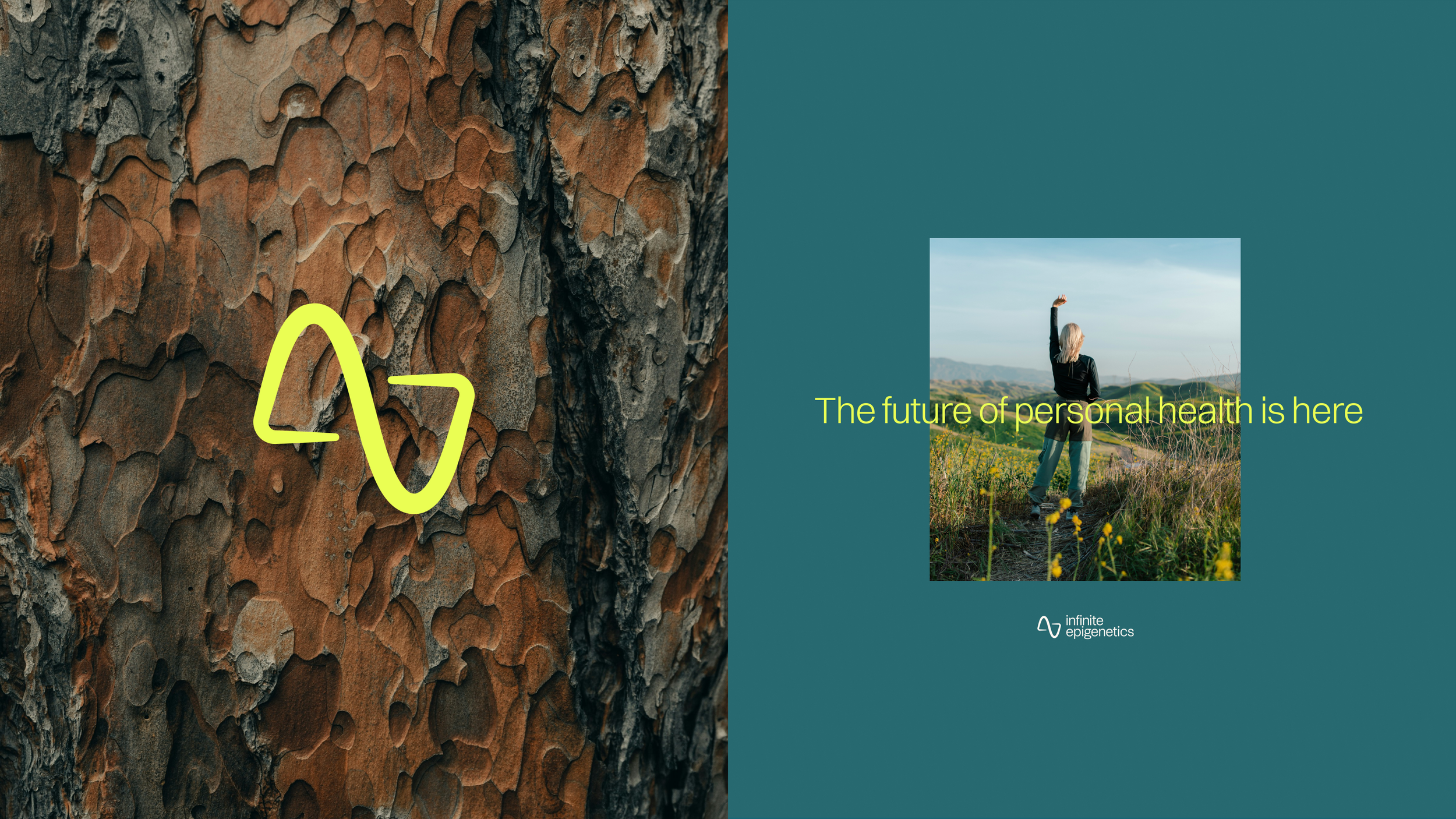 Frame 1000002885.png