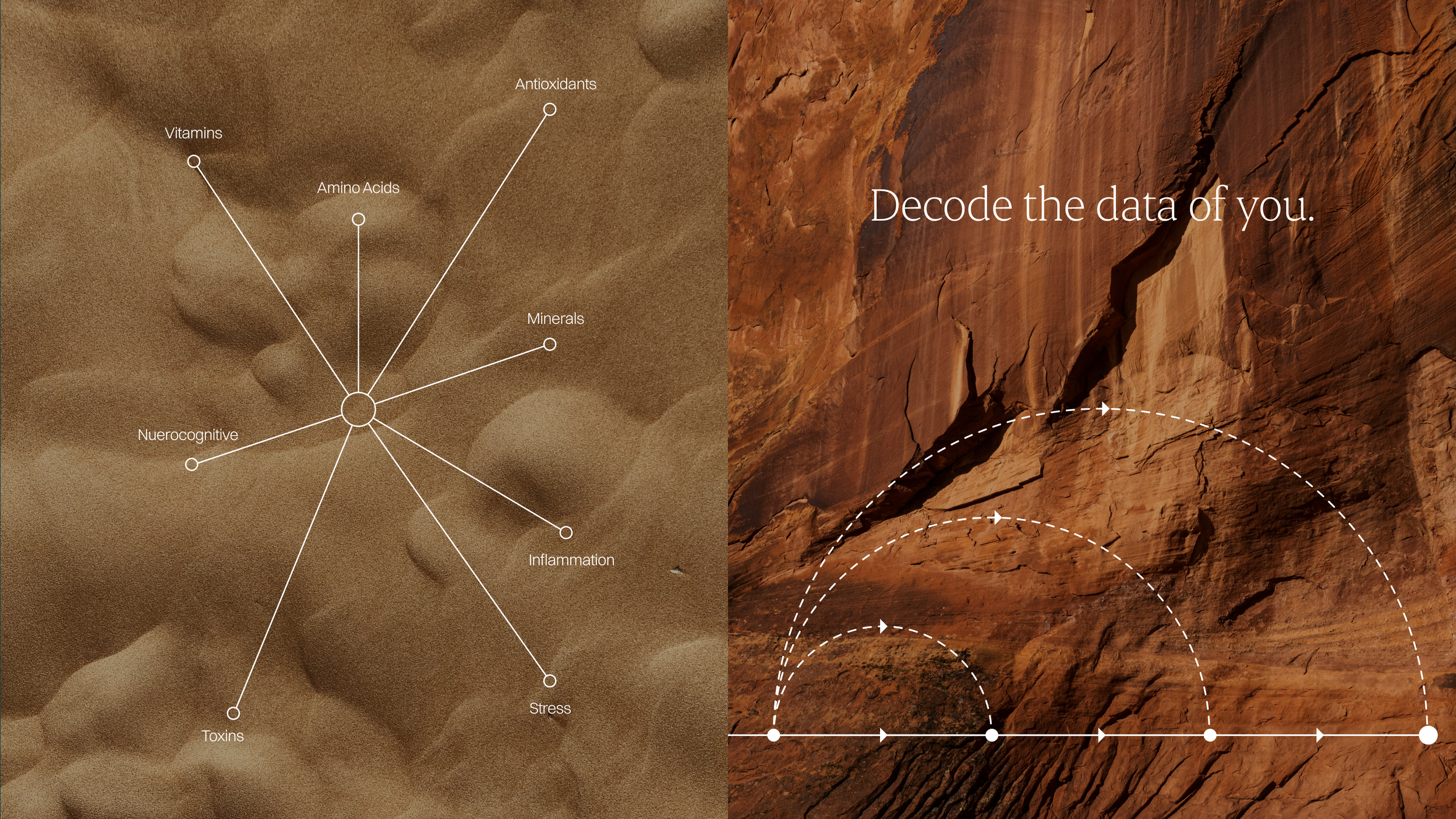 Frame 1000002883.png