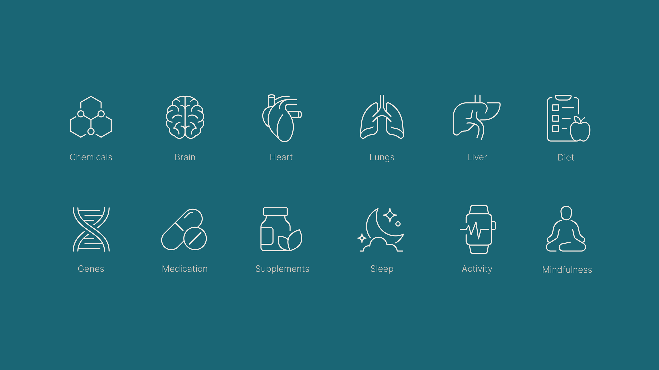 Frame 1000002843.png