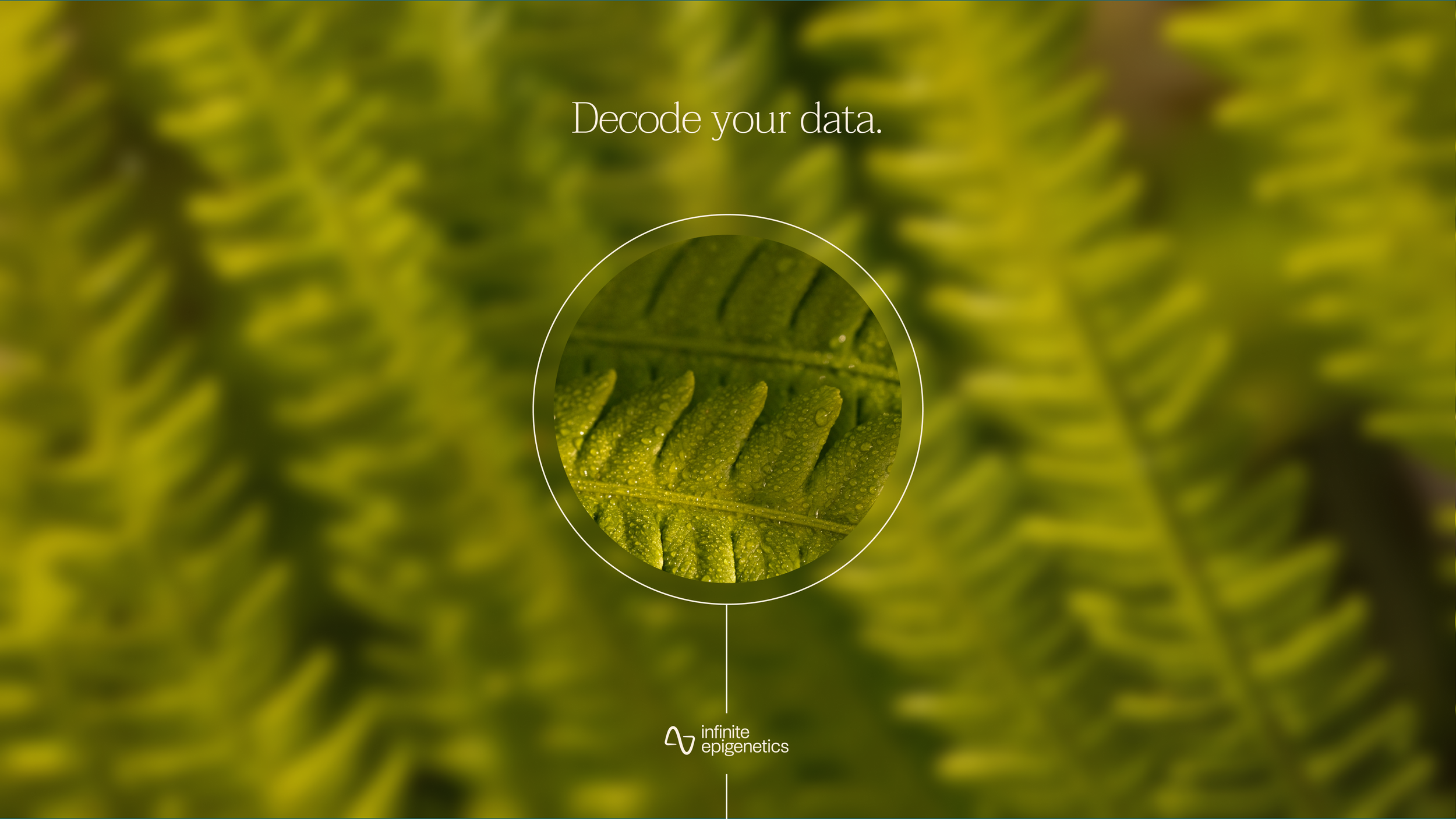 Frame 1000002884.png