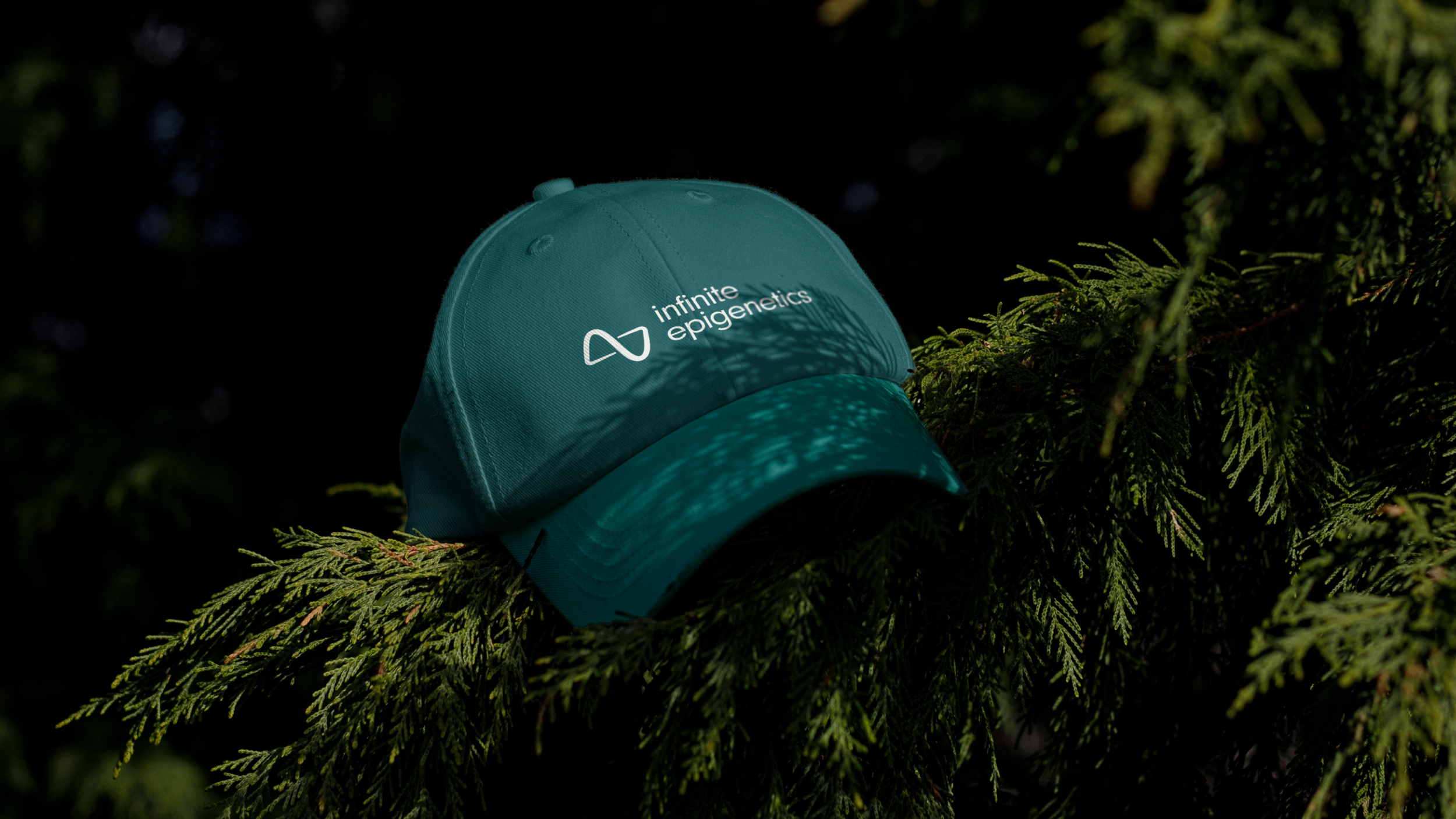 Frame 1000002858.png