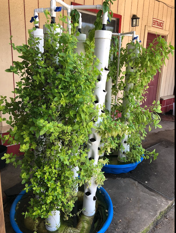 Screenshot 2025-11-05 125600.png