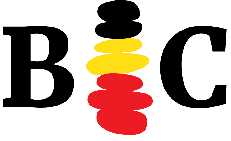 Balanced Choice Program Org 