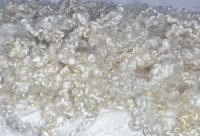 Curly locks of wool