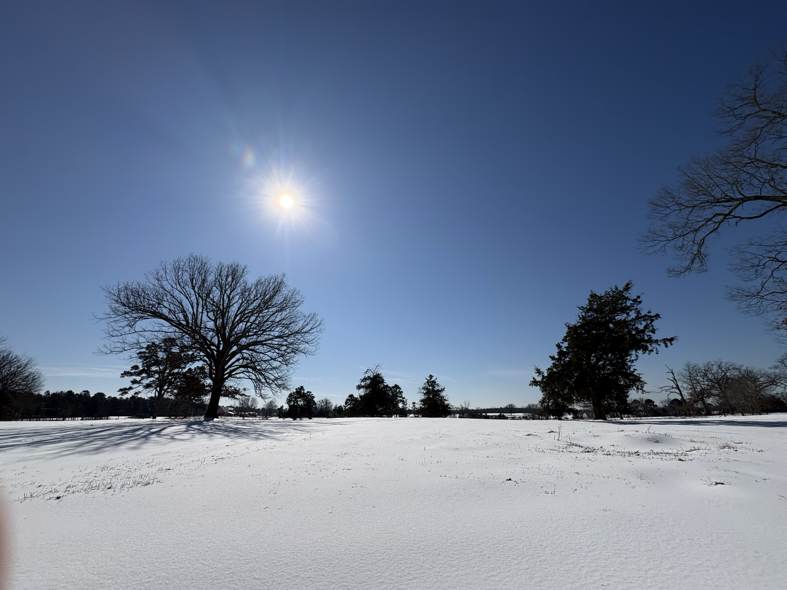 Natura Holistic Retreat Winter.png