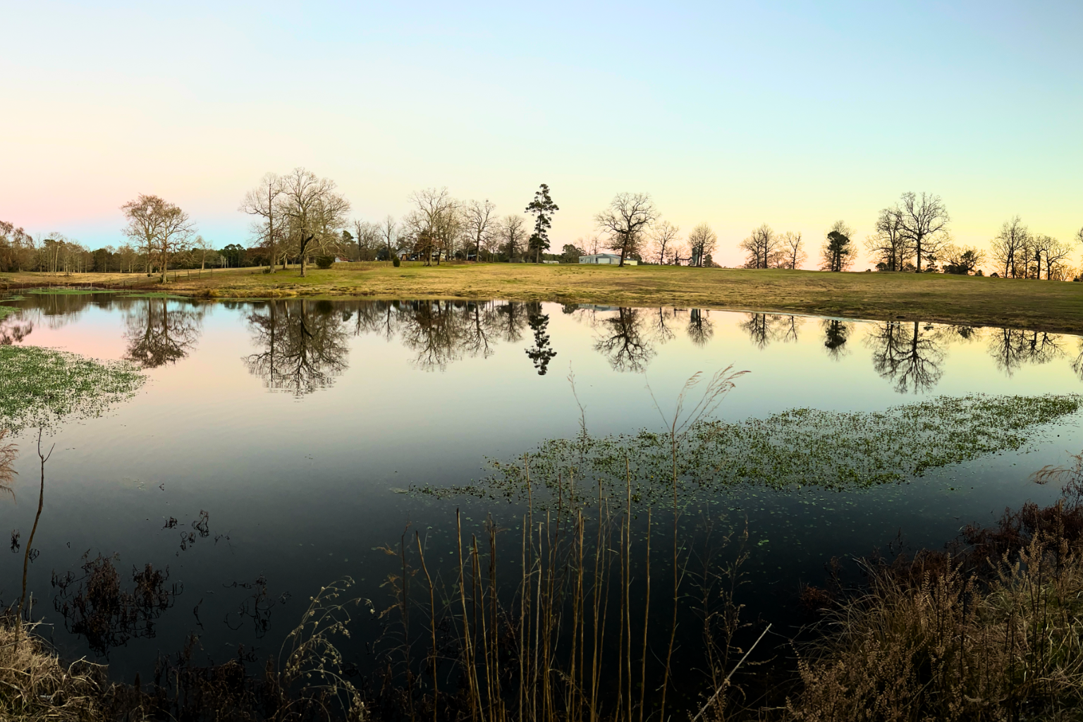 Natura Holistic Retreat Lago.png