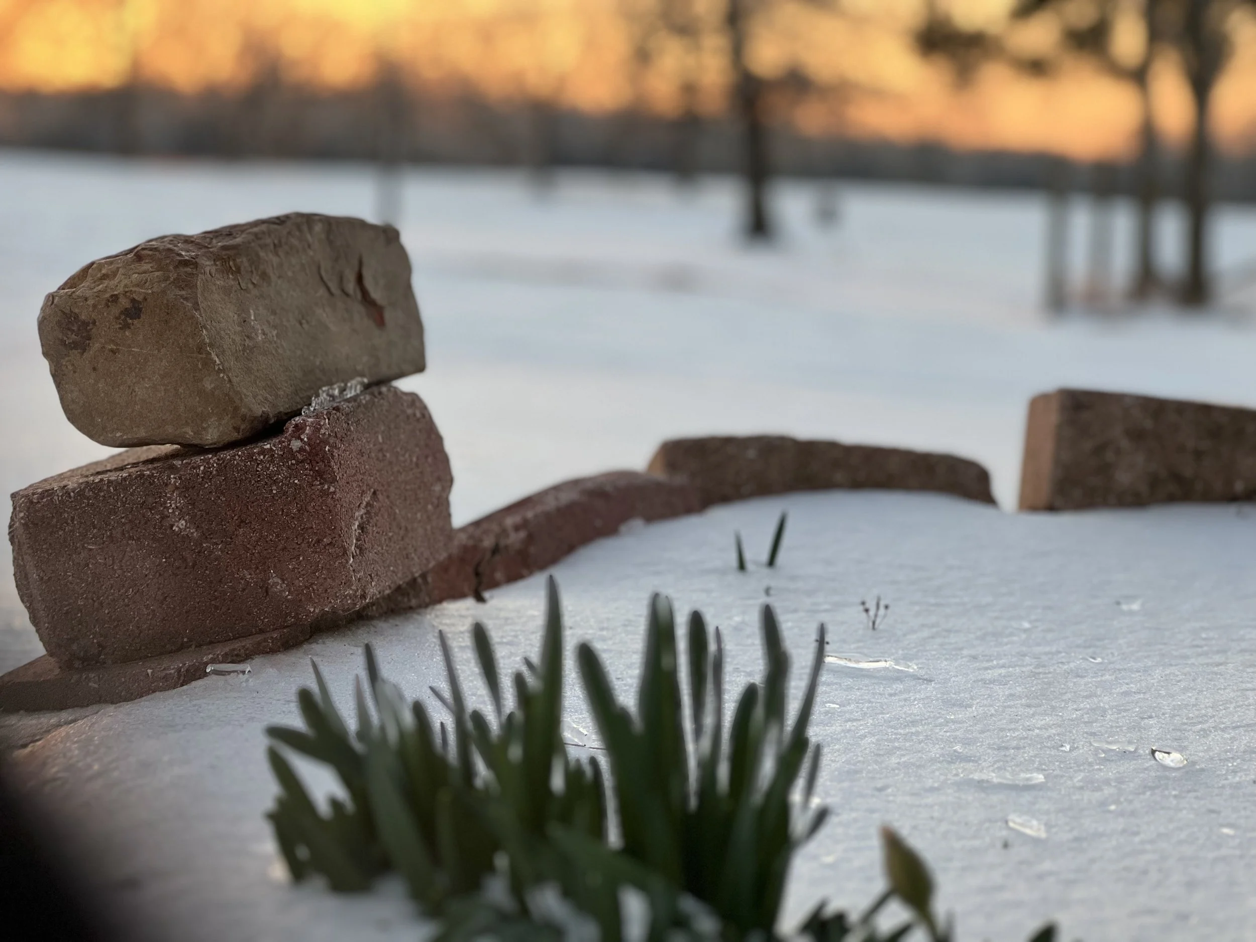Winter sunrise over snow-covered landscape at Natura Holistic Sanctuary in Oklahoma.