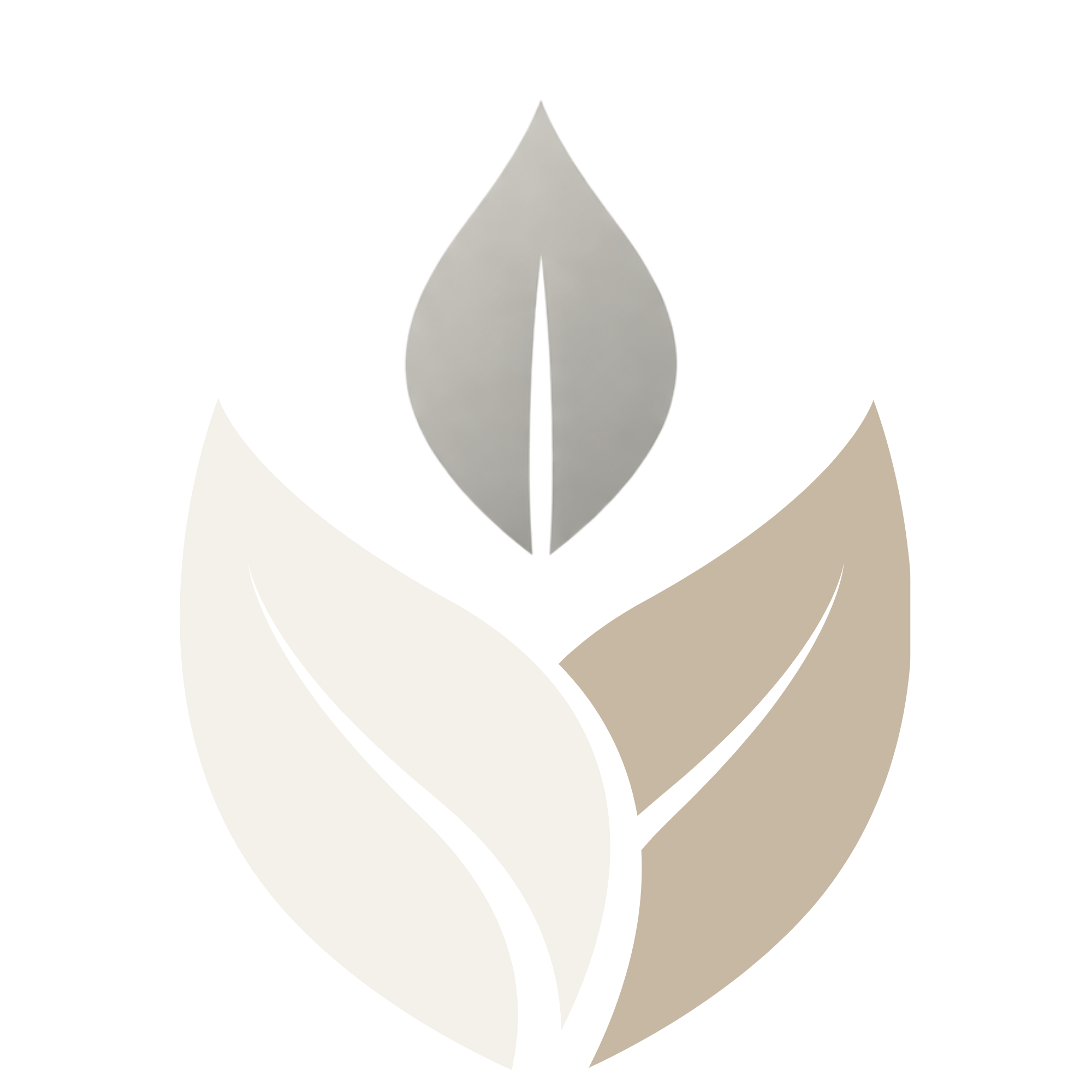 Natura Holistic logo light leaf color.
