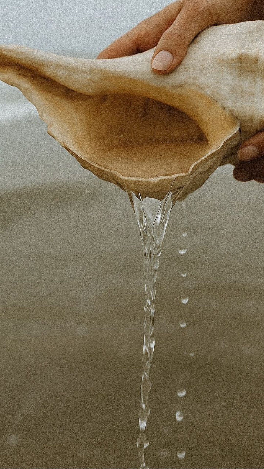 Removing the Root of Bitterness