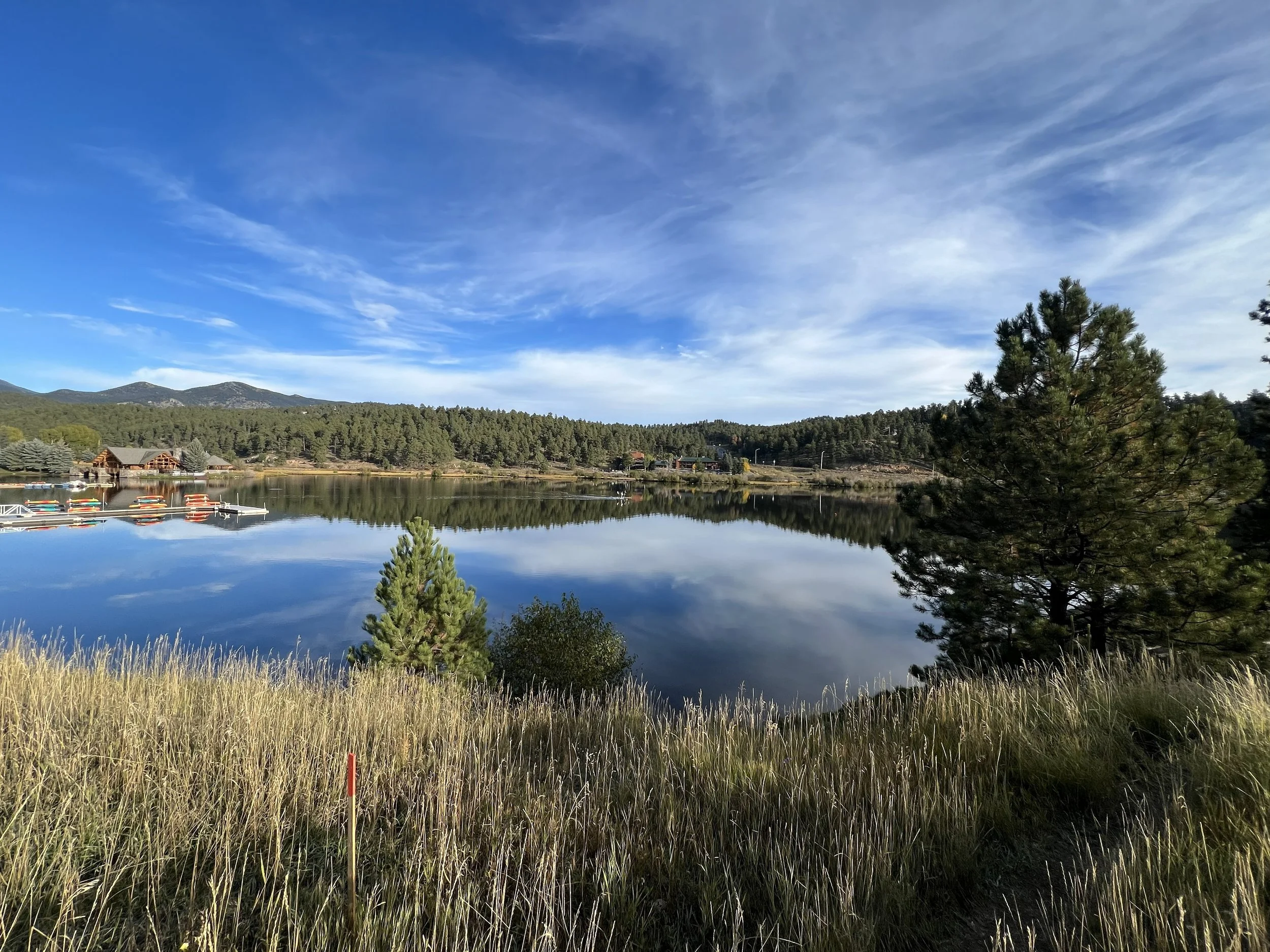 A calm lake reflecting a blue sky with scattered clouds, surrounded by pine trees and grassy shoreline in a mountainous landscape.