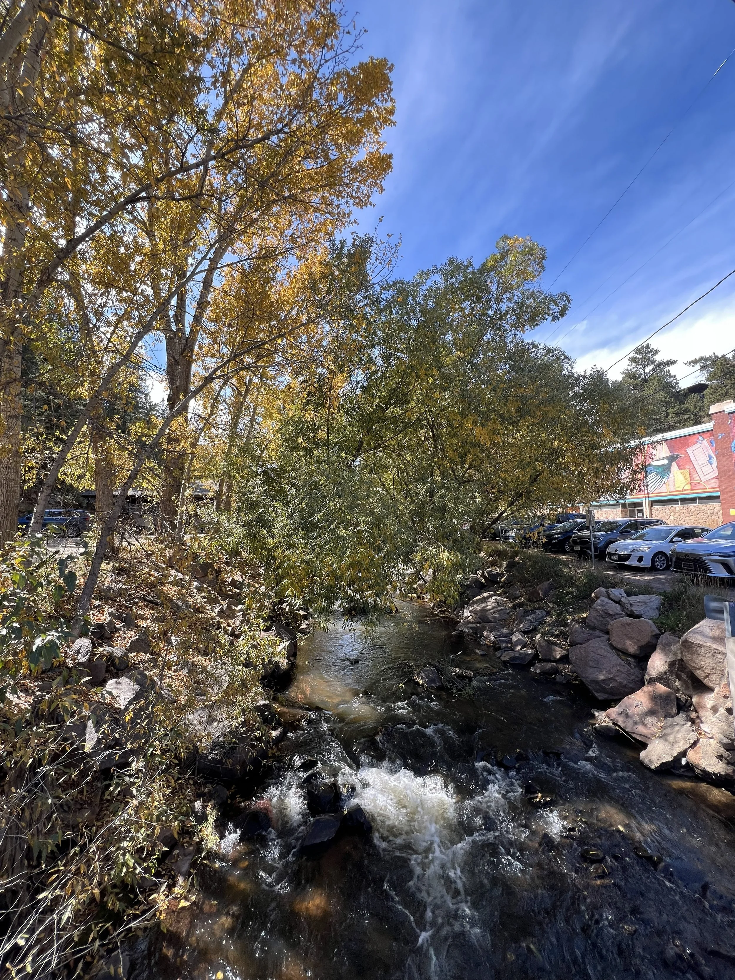A creek flowing through a park area surrounded by trees with autumn foliage, with parked cars and a colorful mural on a building in the background, under a blue sky.