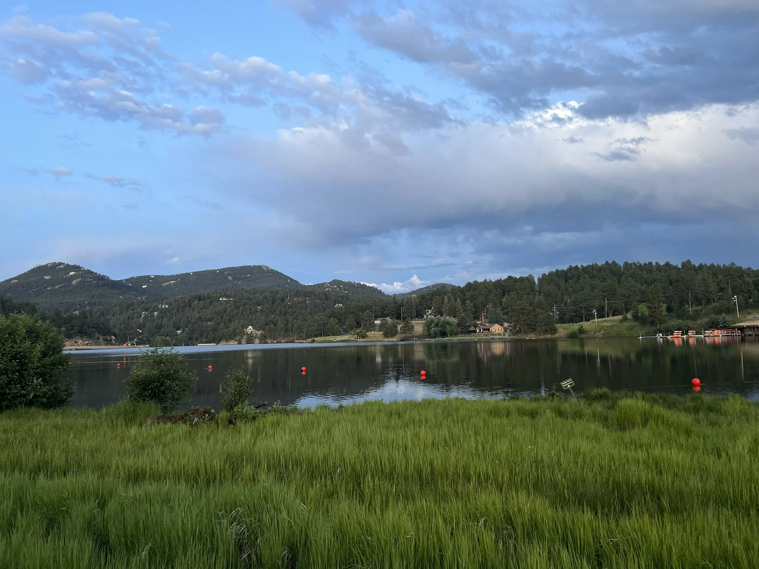 Scenic view of a calm lake with green grass and shrubs in the foreground, surrounded by forested hills and mountains under a partly cloudy sky.