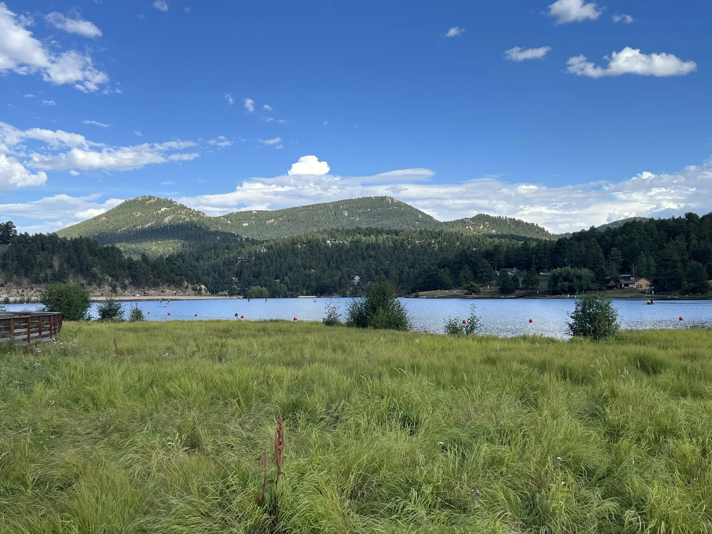 Scenic landscape with green grassy field, a body of water, wooded hills, and mountains under a partly cloudy blue sky.