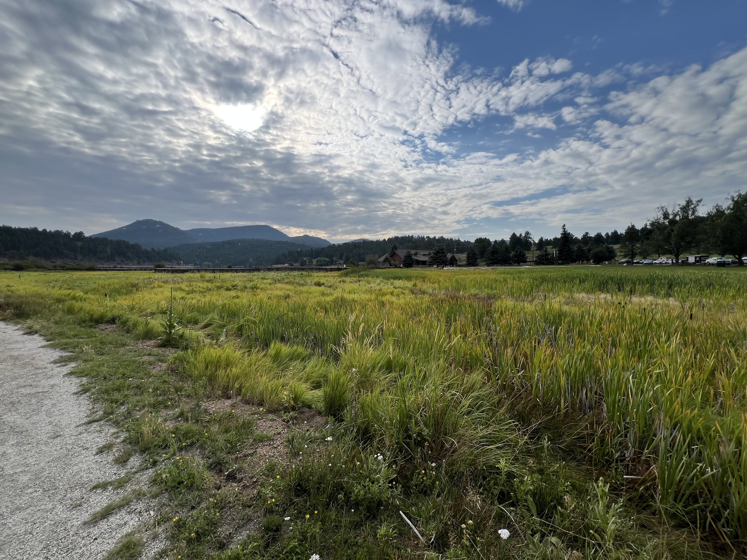 Open field with green grass and plants, a dirt path on the left, trees and buildings in the distance, and mountains under a partly cloudy sky with the sun shining through.