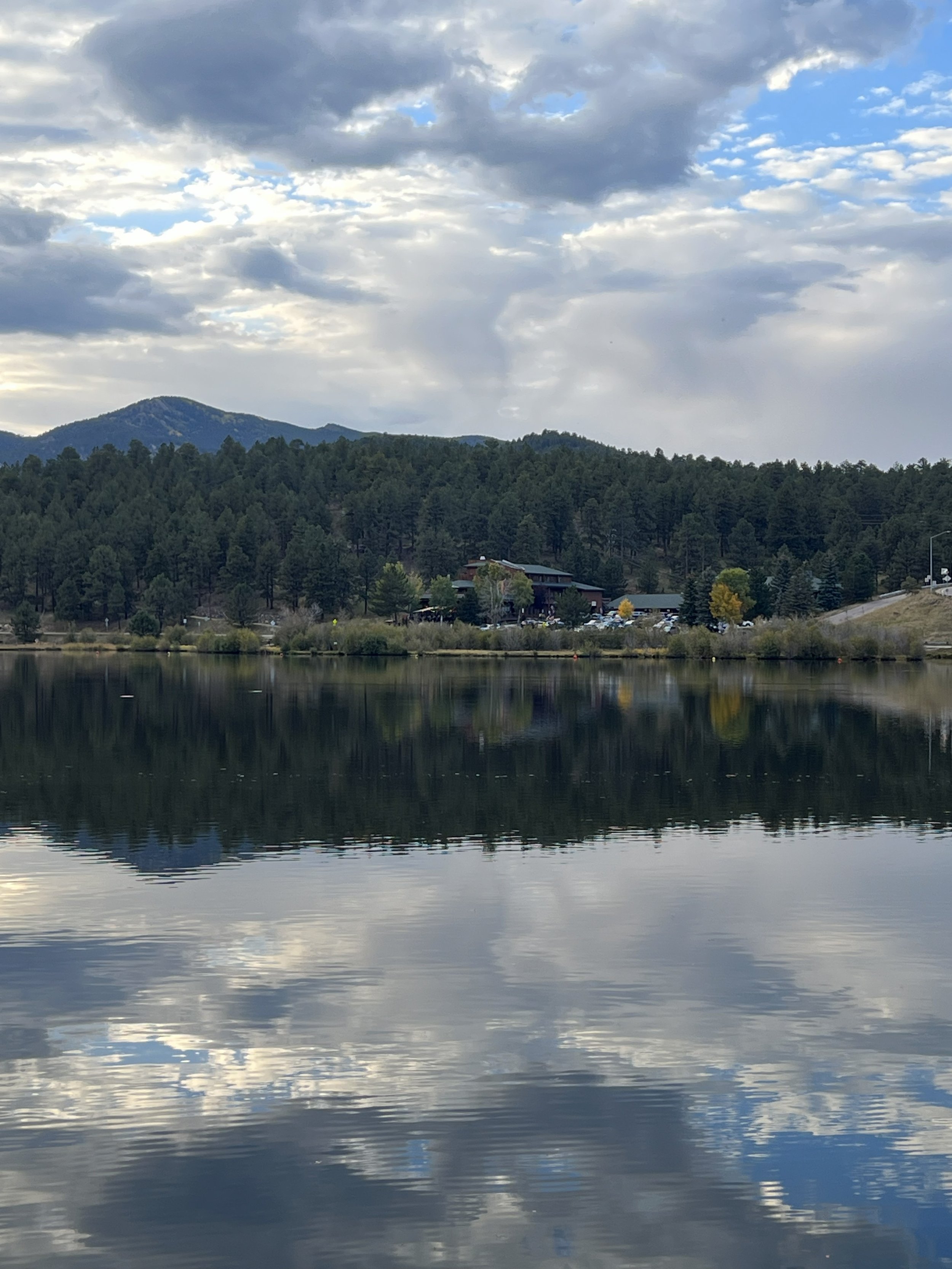 Landscape view of a lake with calm water and a reflective surface, surrounded by a forested area and mountains in the background under a cloudy sky.