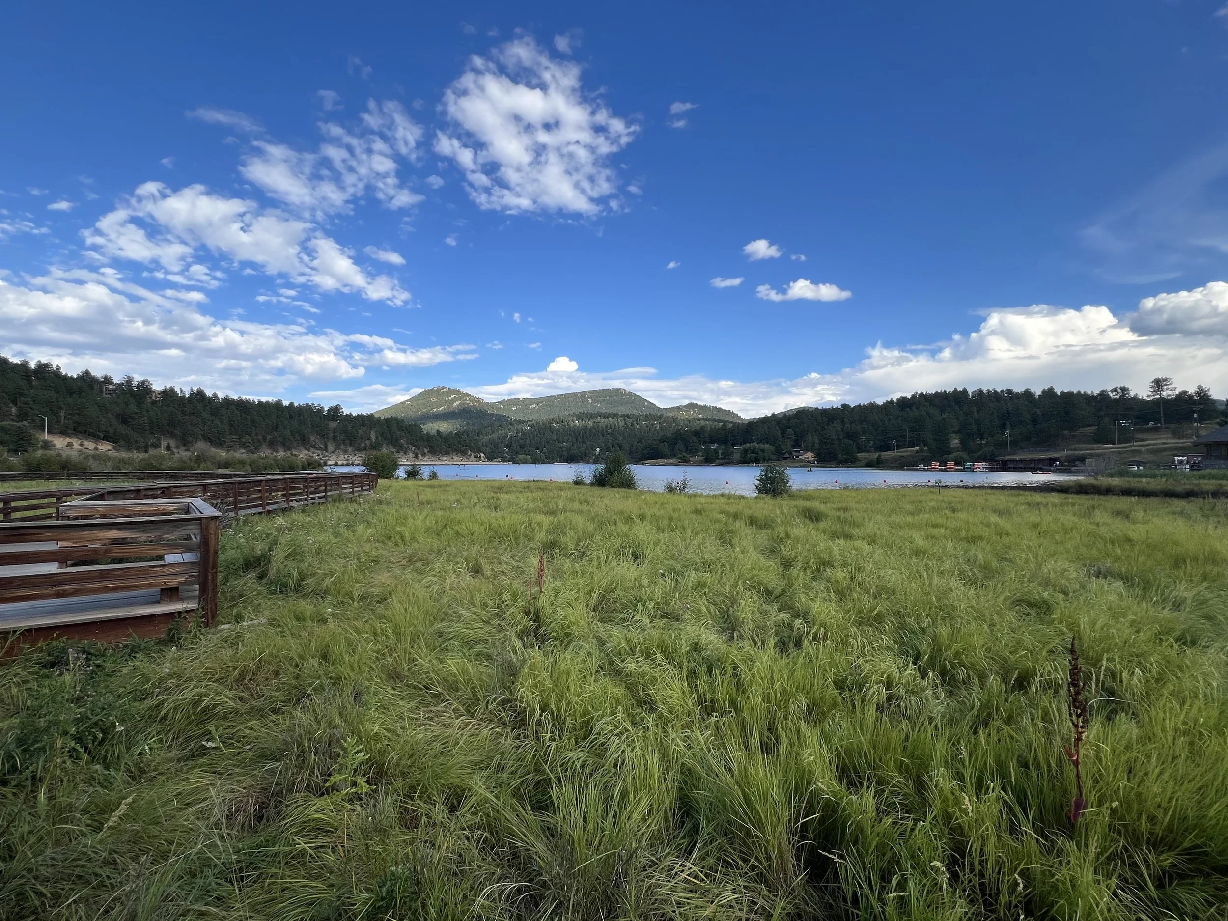 A scenic view of a grassy field near a lake with surrounding hills and trees under a bright blue sky with scattered clouds.
