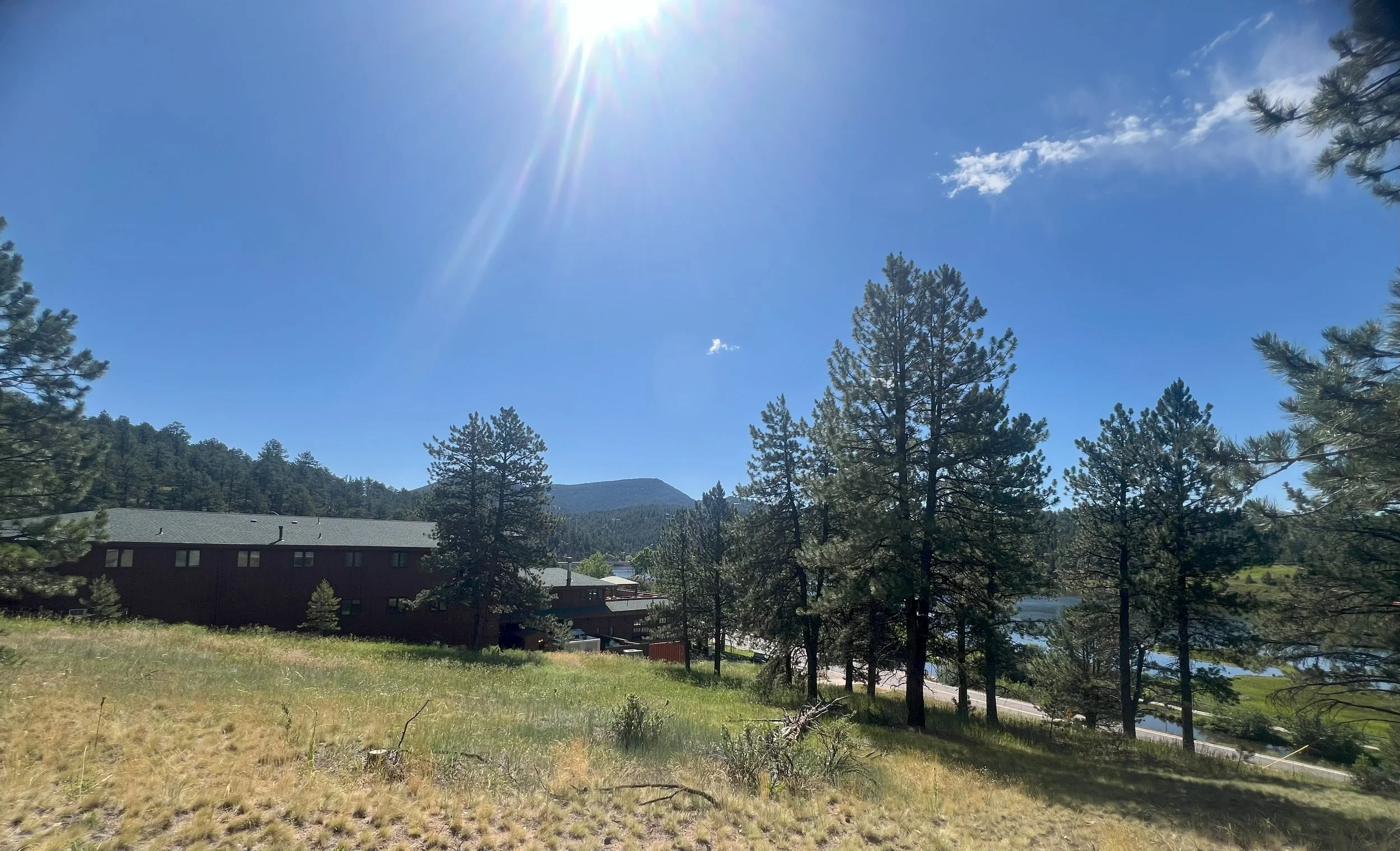 A bright sunny day over a landscape with tall pine trees, a building, a road, and a body of water, with hills in the distance under a clear blue sky.