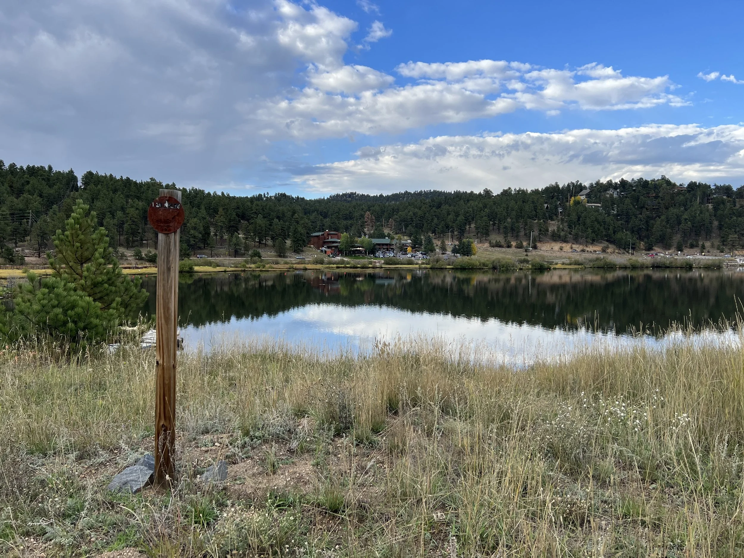 A lakeside scene with a grassy foreground, a calm lake reflecting the sky, and a tree-lined hillside in the background. There is a wooden pole with a red, weathered circular sign on it, and small buildings are visible across the lake.