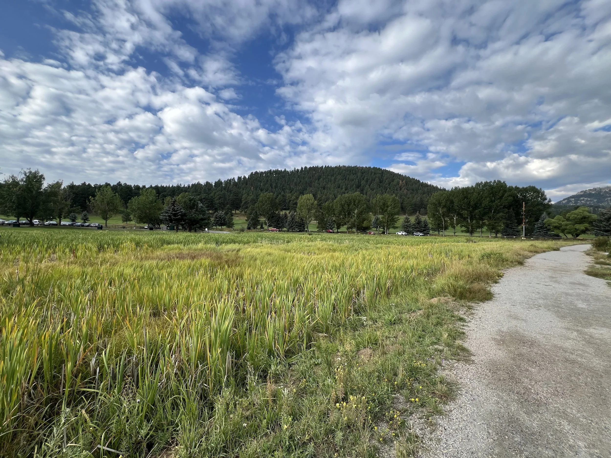 A gravel path curves through a grassy field with a line of trees and a forested hill in the background under a partly cloudy sky.