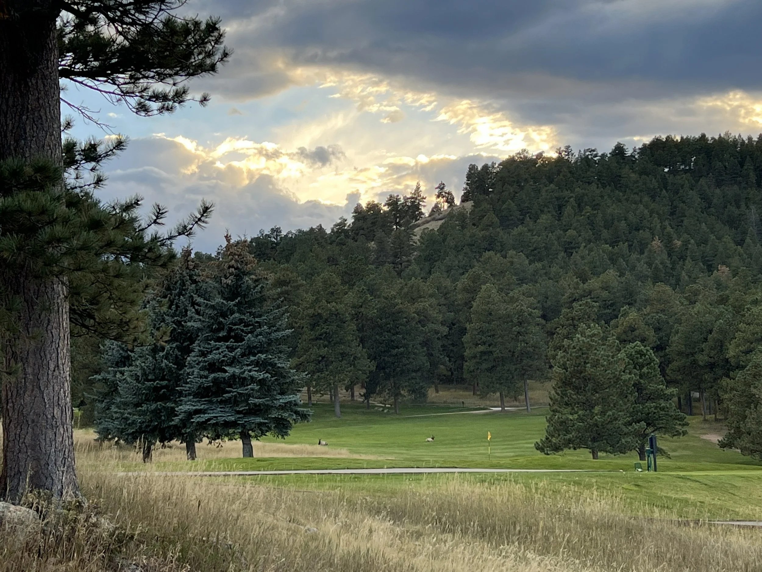 A scenic view of a golf course surrounded by tall trees with a mountain in the background and cloudy sky above.
