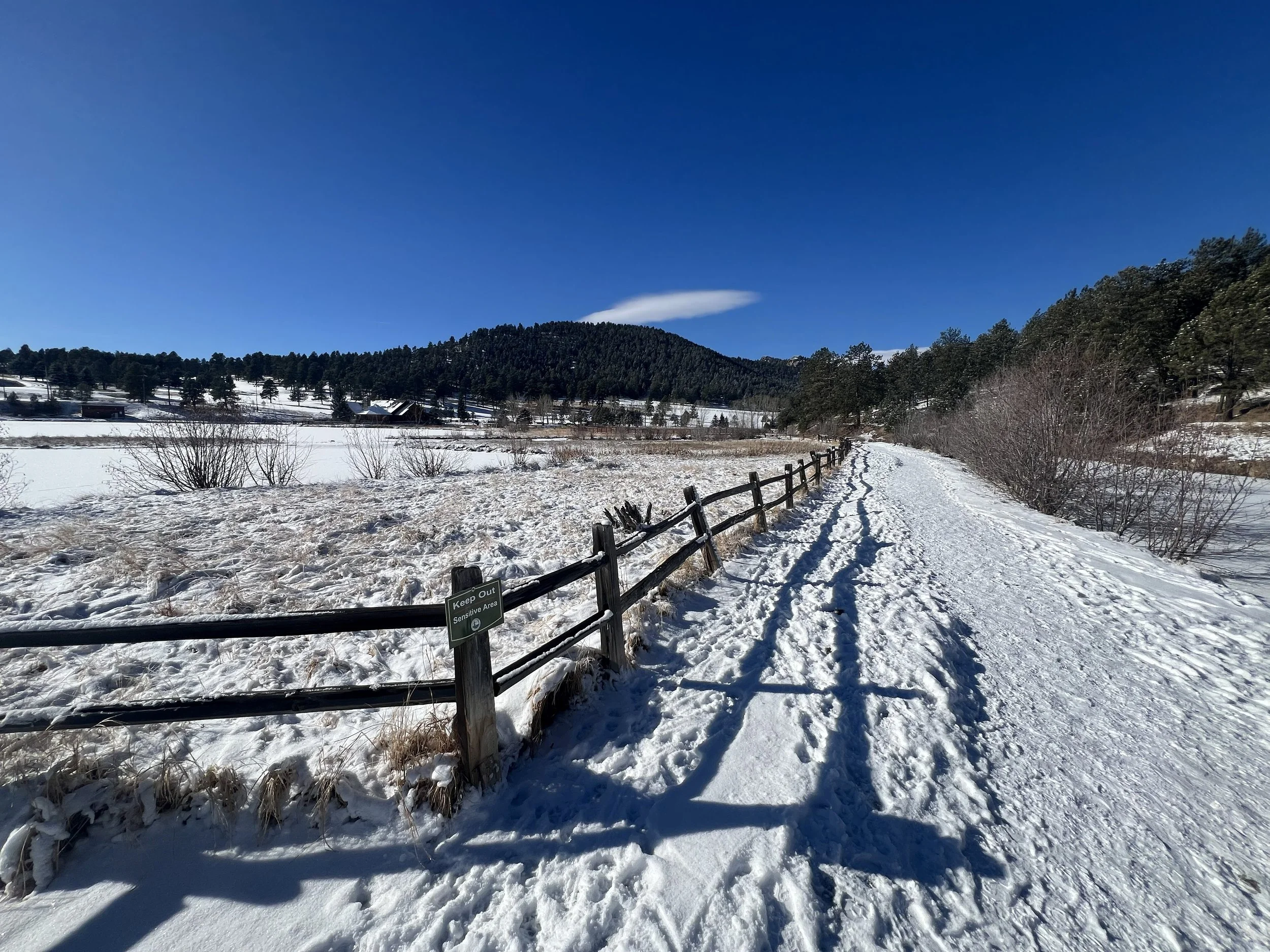 Snow-covered landscape with a dirt trail, wooden fence, and trees, under a clear blue sky.