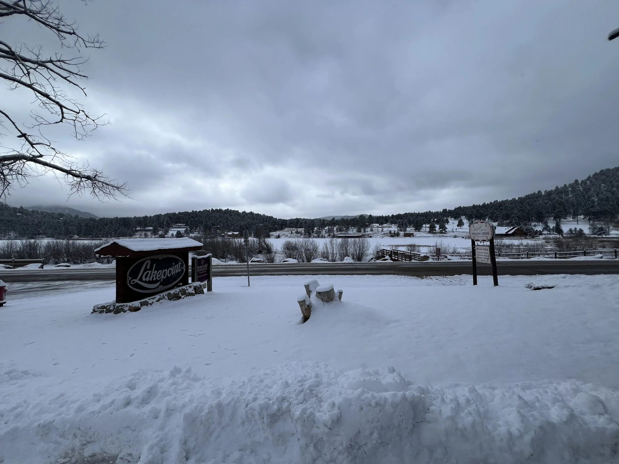 Snow-covered landscape with a sign that reads 'Lakepoint,' a snow-covered tree stump, and a lake with houses and trees in the distance under a cloudy sky.