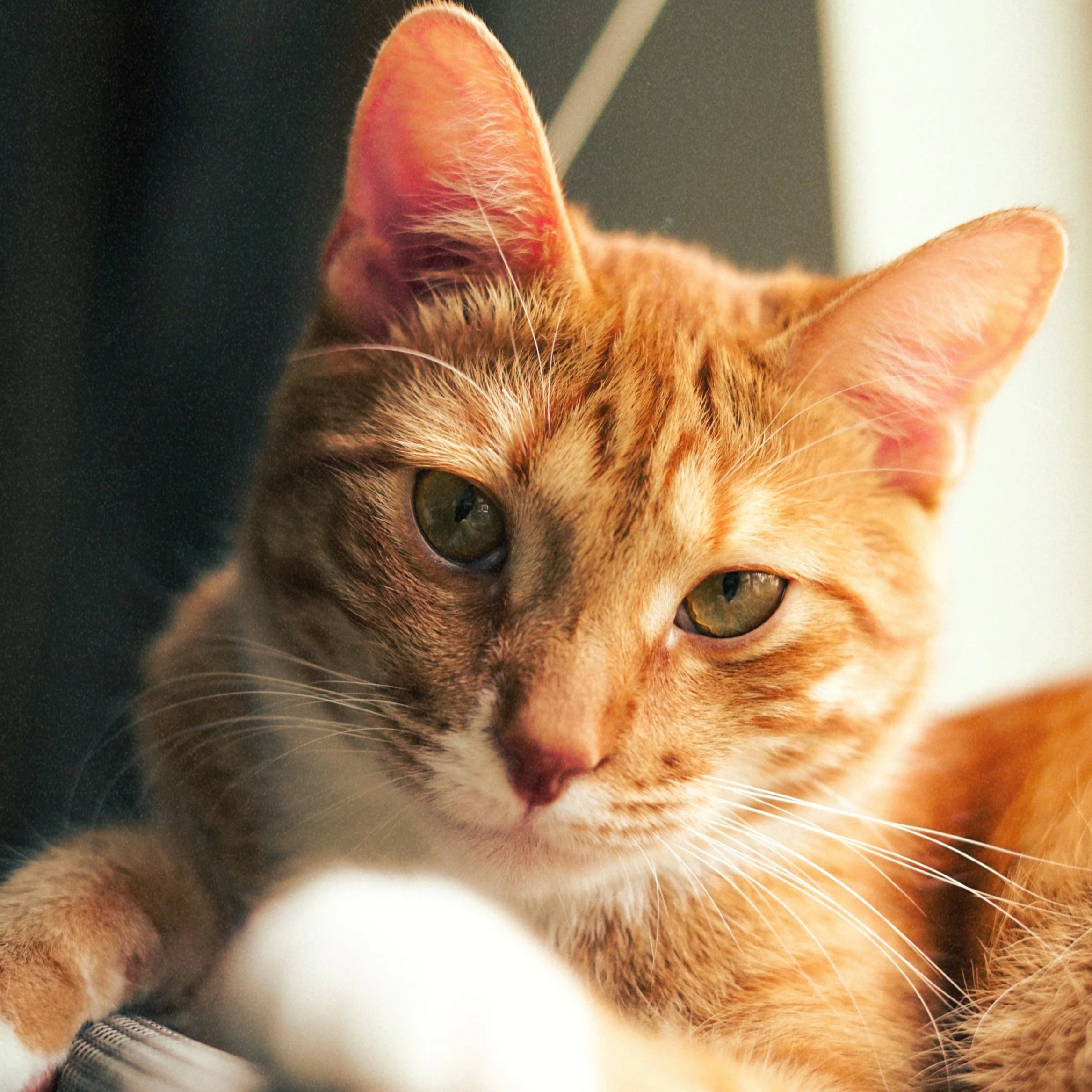 What are you waiting for? 