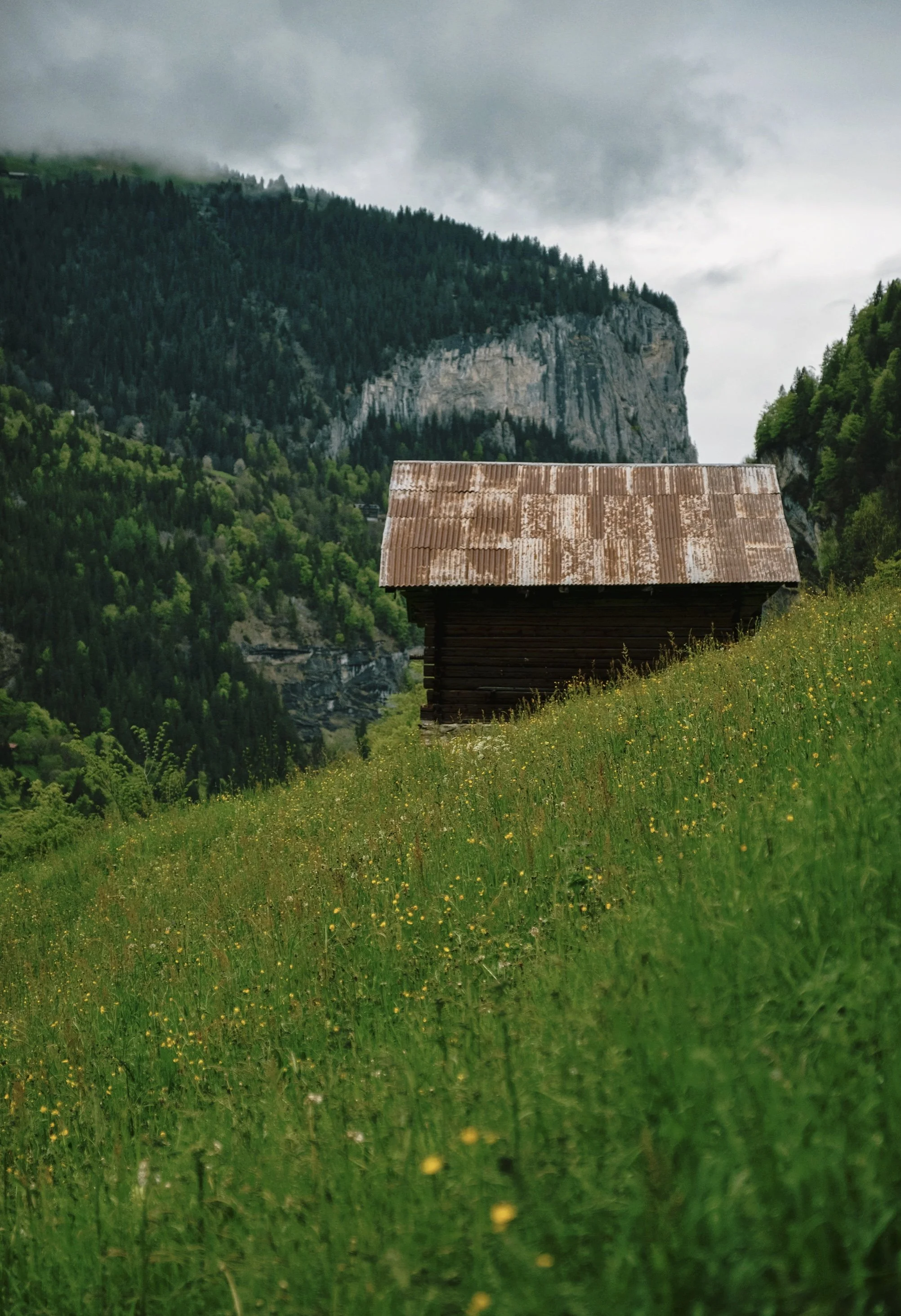 AfterlightImage 3.jpg