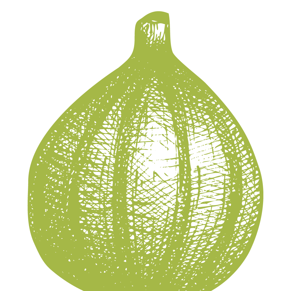 Graphic illustration of a green fig, in a crosshatch style.