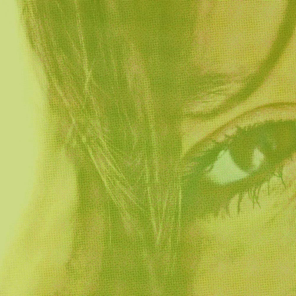 Close-up of a woman's face focusing on her eye, represents how DBT Therapy in Philadelphia can help you gain insight & feel more confident.