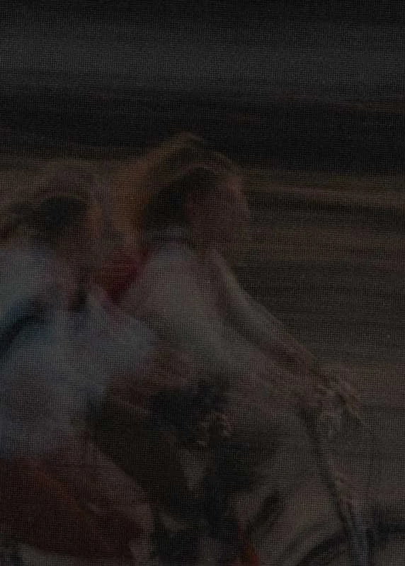 Blurry photo of two woman riding bikes; represents how DBT coaching can support your self-empowerment and feel truly freeing.