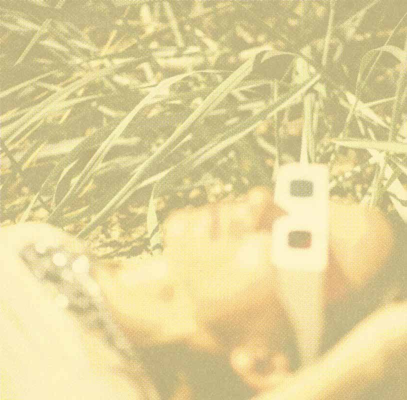 Close-up of a person's ankle wearing a watch, with a white electronic device, possibly a charger or power bank, lying on grass nearby.