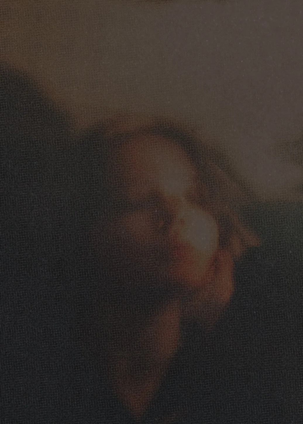 Close-up of a person's face with glasses, viewed through a textured window or screen.