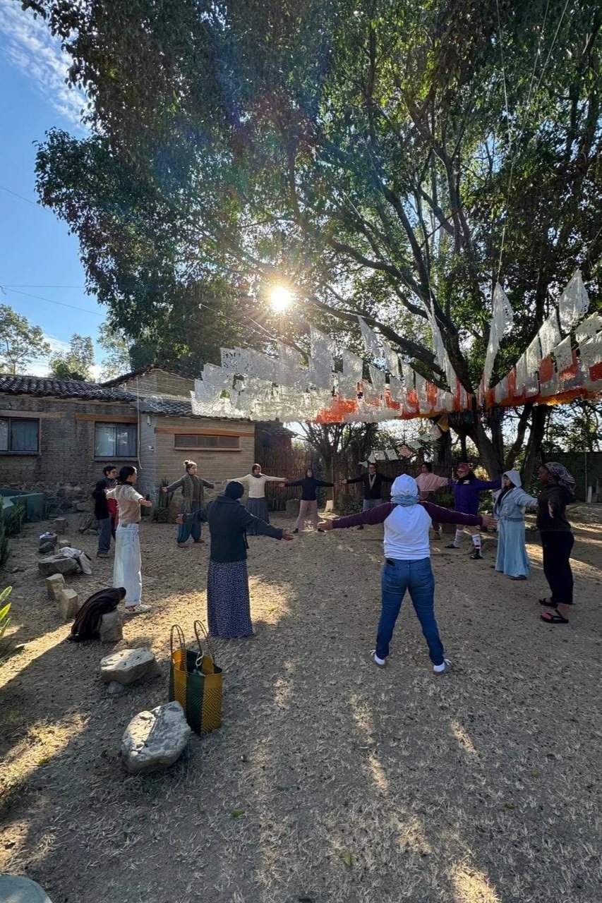 Group of people holding hands in a circle outdoors, participating in a dance or activity beneath a large tree with sunlight shining through the branches.